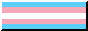 Trans flag button